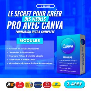 Canva Mastery ( Créez des visuels professionnels en moins de 60 minutes )